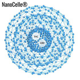 NanoCelle graphic